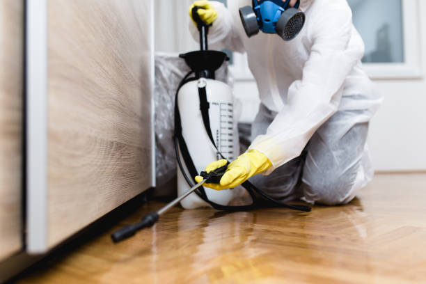 Best Exterminator Services  in Sheridan, CO
