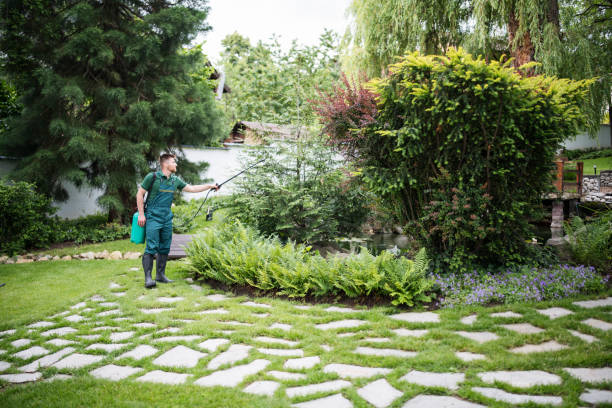 Best Ant Control Services  in Sheridan, CO
