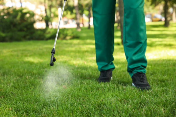 Best Pest Control Near Me  in Sheridan, CO