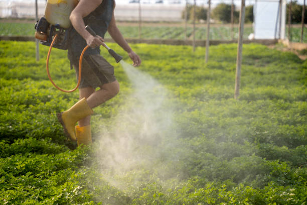 Best Pest Control for Businesses  in Sheridan, CO
