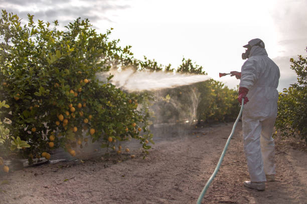 Best Pest Control Near Me in Sheridan, CO
