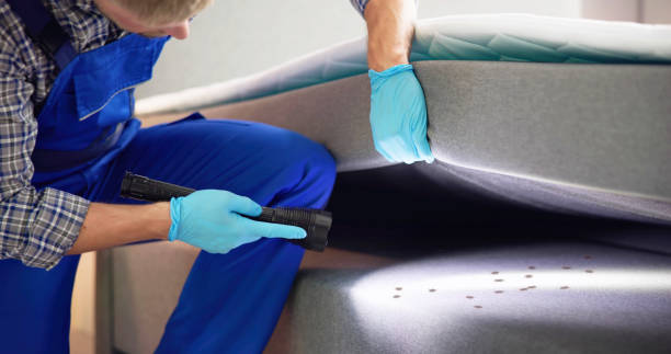 Best Pest Control for Homes  in Sheridan, CO