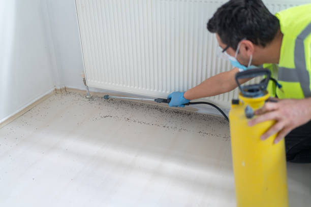 Best Flea Control Services  in Sheridan, CO