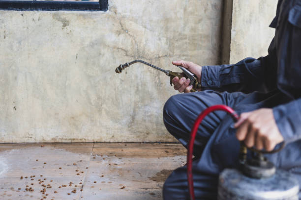Trusted Sheridan, CO Pest Control Experts