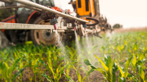 Best Pest Removal Services  in Sheridan, CO